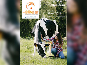 Du nouveau en Prim’Holstein
