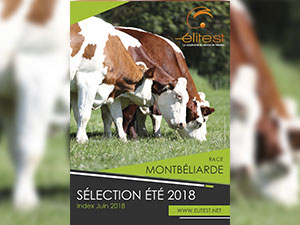 Nouvelle offre Montbéliarde 2018