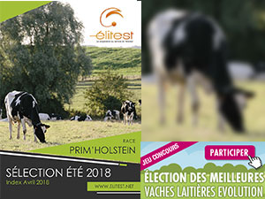 La sélection Prim’Holstein pour l'été 2018