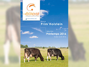 Campagne 2016 / 2017 : l'offre Prim'Holstein