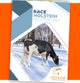 Catalogue Holstein