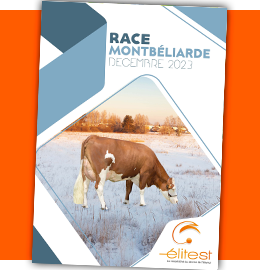 Catalogue Montbéliard