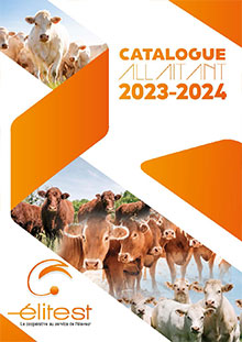 Nouveau catalogue allaitant 2023-2024