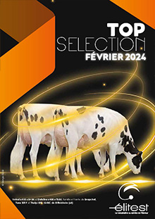 Nouveau Top Sélection Holstein Février 2024