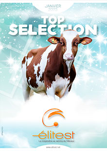 Nouveau Top Sélection Holstein Janvier 2023